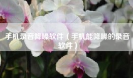 手机录音降噪软件（手机能降噪的录音软件）