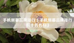 手机屏幕品牌排行（手机屏幕品牌排行前十名名称）