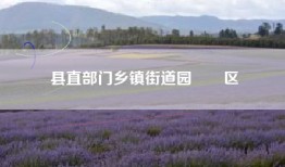 县直部门乡镇街道园　　区