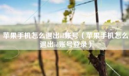 苹果手机怎么退出id账号（苹果手机怎么退出id账号登录）