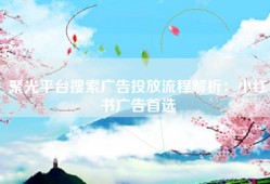 聚光平台搜索广告投放流程解析：小红书广告首选