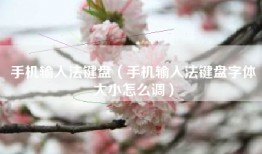 手机输入法键盘（手机输入法键盘字体大小怎么调）