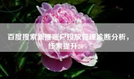 百度搜索新推账户投放管理诊断分析，线索提升20%