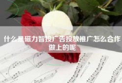 什么是磁力智投广告投放推广怎么合作做上的呢