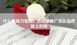 什么是磁力智投广告投放推广怎么合作做上的呢