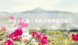 拼音手机版（手机汉字拼音下载）