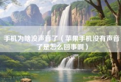 手机为啥没声音了（苹果手机没有声音了是怎么回事啊）