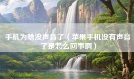 手机为啥没声音了（苹果手机没有声音了是怎么回事啊）