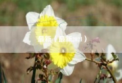 最新（最新2021）