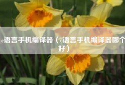 c语言手机编译器（c语言手机编译器哪个好）