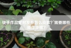 快手作品定时发布怎么设置？需要哪些操作步骤？