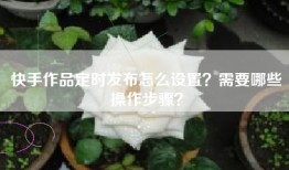 快手作品定时发布怎么设置？需要哪些操作步骤？