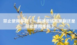 禁止使用手机（一般涉密场所限制还是禁止使用手机）