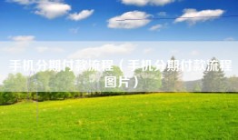 手机分期付款流程（手机分期付款流程图片）