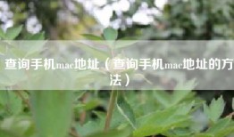 查询手机mac地址（查询手机mac地址的方法）
