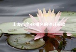 丰顺百度SEO排名的提升策略