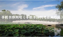 手机卡序列号（手机卡序列号查询方法）