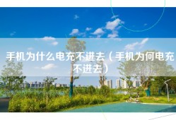 手机为什么电充不进去（手机为何电充不进去）