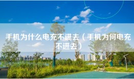 手机为什么电充不进去（手机为何电充不进去）