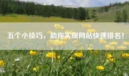 五个小技巧，助你实现网站快速排名！