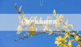 新产品如何营销