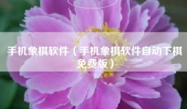 手机象棋软件（手机象棋软件自动下棋免费版）
