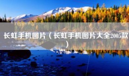 长虹手机图片（长虹手机图片大全2005款）