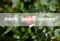 清明将至，这些传统习俗你了解吗？