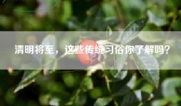 清明将至，这些传统习俗你了解吗？