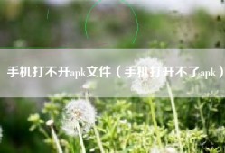 手机打不开apk文件（手机打开不了apk）