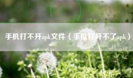 手机打不开apk文件（手机打开不了apk）
