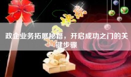政企业务拓展秘籍，开启成功之门的关键步骤
