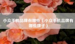 小众手机品牌有哪些（小众手机品牌有哪些牌子）