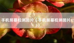 手机屏幕检测图片（手机屏幕检测图片123）