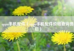 oppo手机配件（oppo手机配件价格查询售后）