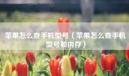 苹果怎么查手机型号（苹果怎么查手机型号和内存）