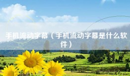 手机流动字幕（手机流动字幕是什么软件）