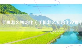 手机怎么初始化（手机怎么初始化设置）