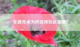非遗传承为何显得如此重要？