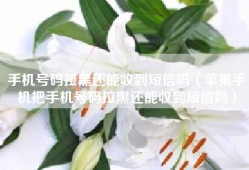手机号码拉黑还能收到短信吗（苹果手机把手机号码拉黑还能收到短信吗）