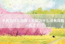 手机为什么没有（手机为什么没有耳机孔了）