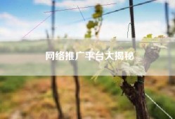网络推广平台大揭秘