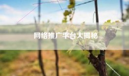 网络推广平台大揭秘
