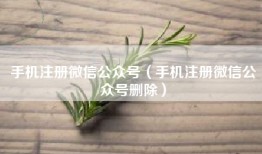 手机注册微信公众号（手机注册微信公众号删除）