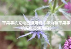 苹果手机充电器通用吗（华为和苹果手机充电器通用吗）