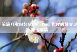 前端开发服务器中的 Proxy 代理跨域实现原理解读
