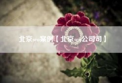 北京seo案例【北京seo公司司】
