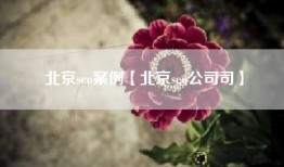 北京seo案例【北京seo公司司】