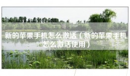 新的苹果手机怎么激活（新的苹果手机怎么激活使用）
