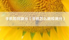 手机如何跑分（手机怎么跑检测分）